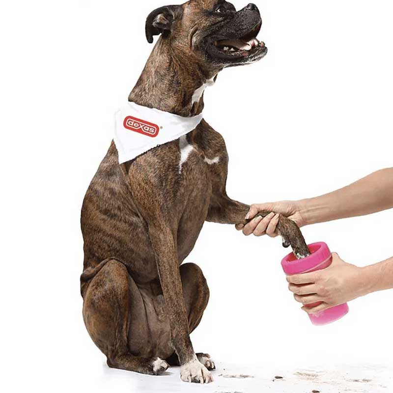 MUDBUSTER - מנקה כפות רגליים חכם לכלבים