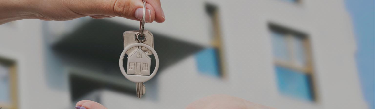 איך למצוא דירה להשכרה בלי תיווך – מדריך מלא לחיסכון של אלפי שקלים